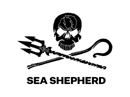 Sea shepherd
