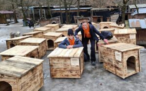 patrons-ukraine-dog-houses